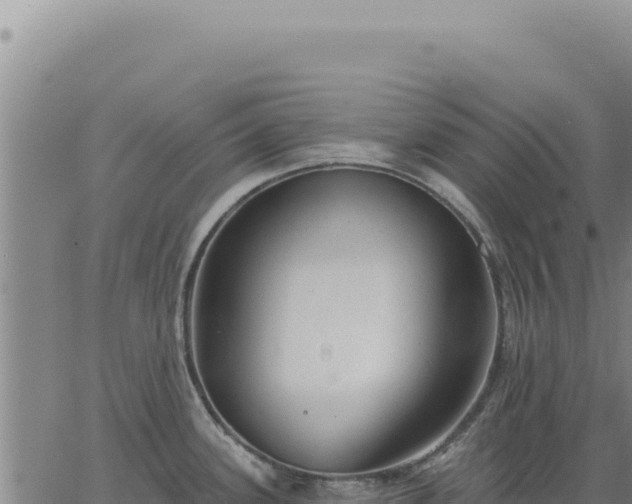 X0000063491339200601271710