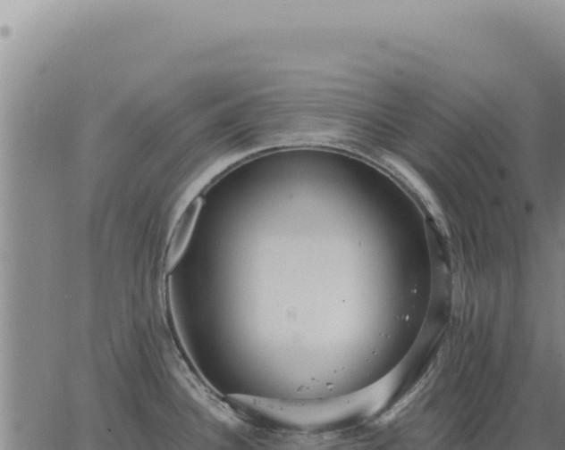 X0000063491340200601271710