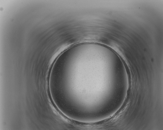 X0000063491341200601271710