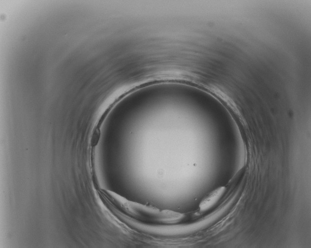 X0000063491342200601271710