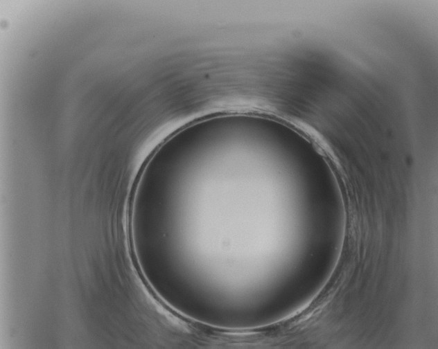 X0000063491343200601271710