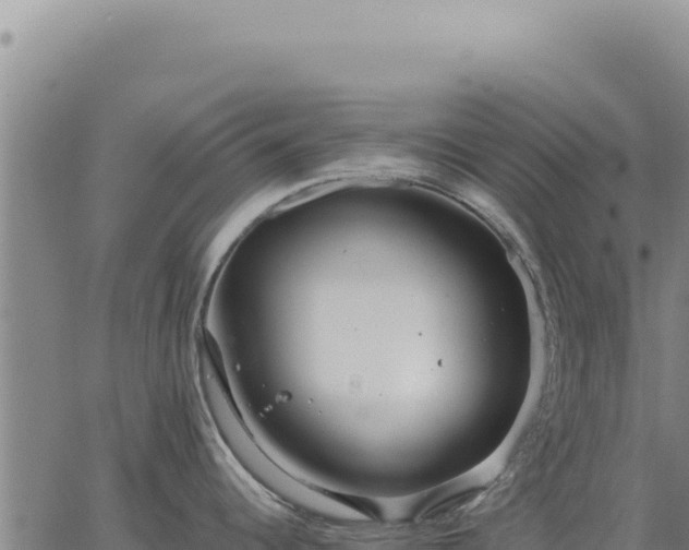 X0000063491344200601271710