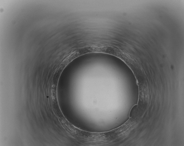 X0000063491346200601271709