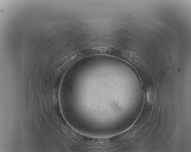 X0000063491347200601271709