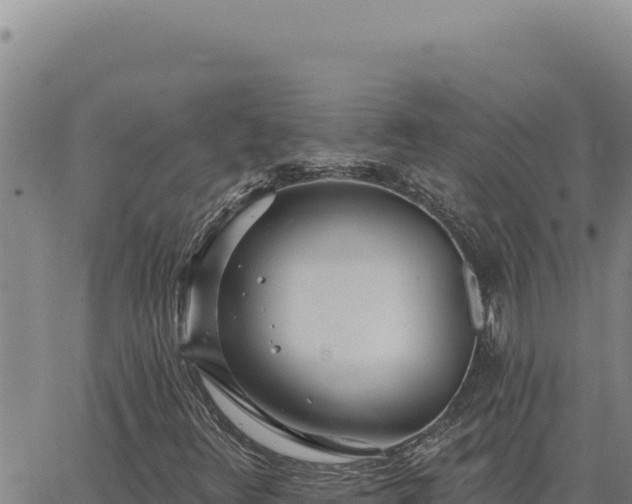 X0000063491348200601271709