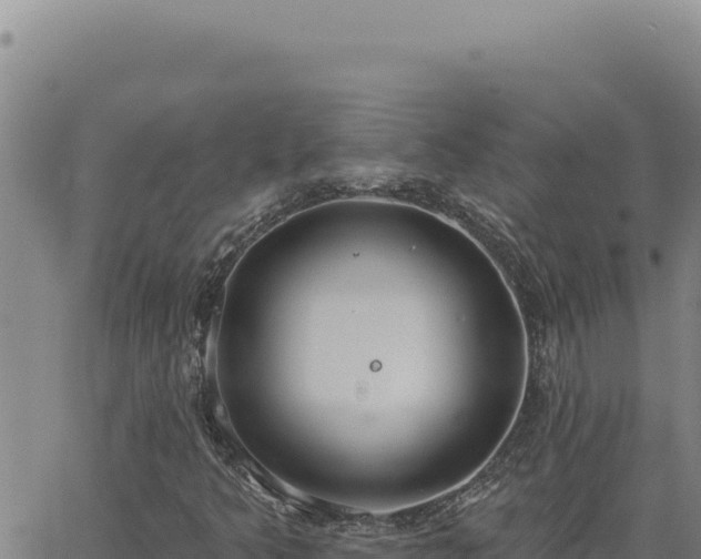 X0000063491349200601271709