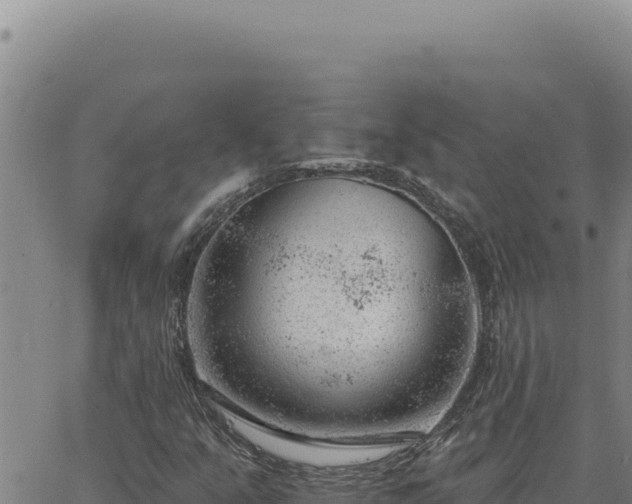 X0000063491351200601271709