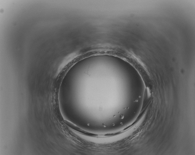 X0000063491352200601271709