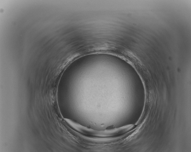 X0000063491353200601271709