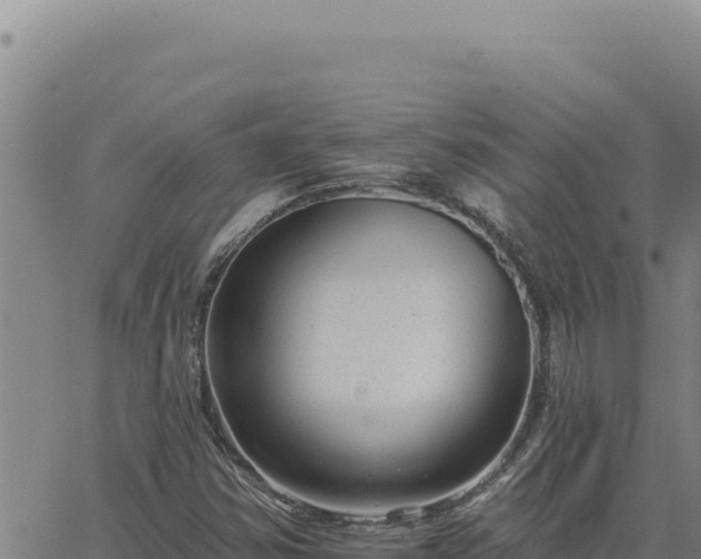 X0000063491354200601271709