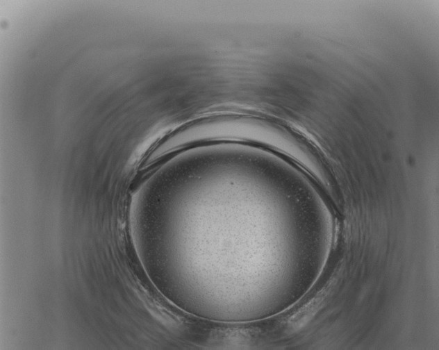 X0000063491355200601271709