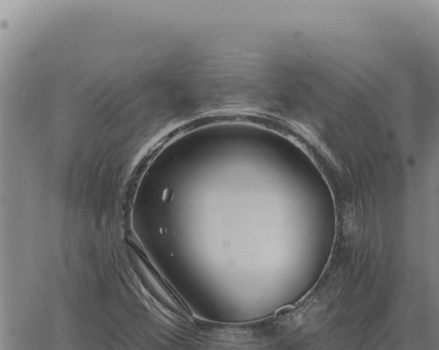 X0000063491356200601271709