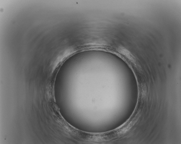 X0000063491357200601271709