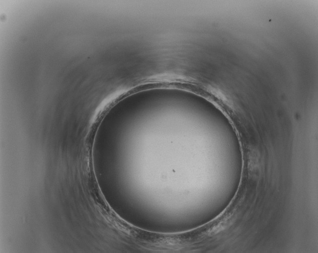 X0000063491358200601271709