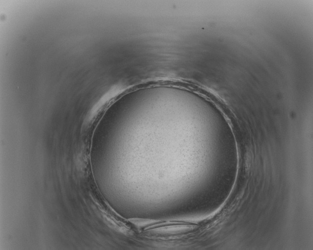 X0000063491359200601271709