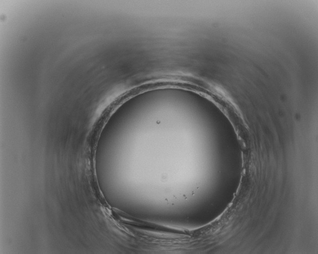 X0000063491360200601271709