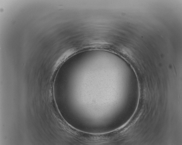 X0000063491362200601271709