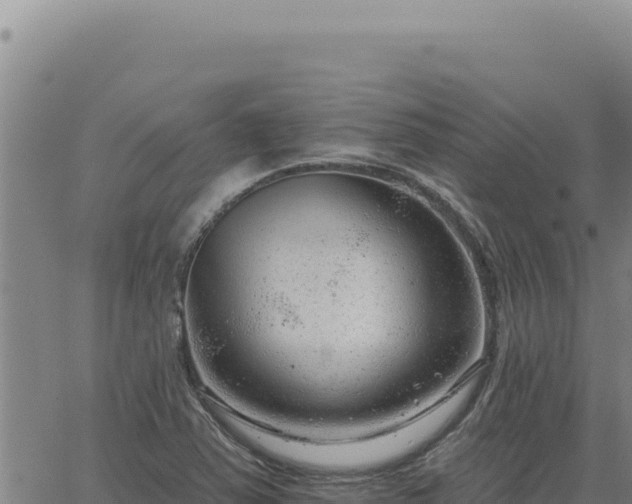 X0000063491363200601271709