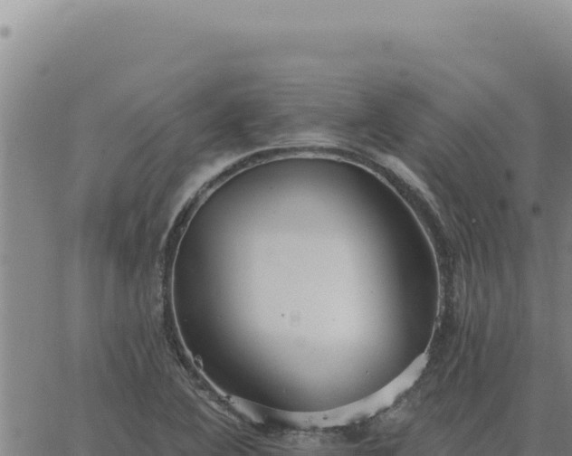 X0000063491364200601271709