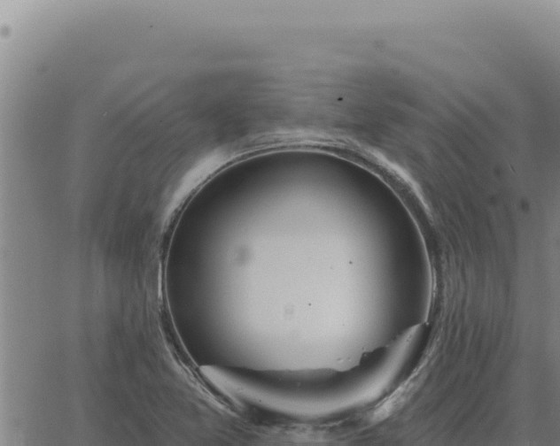 X0000063491365200601271709