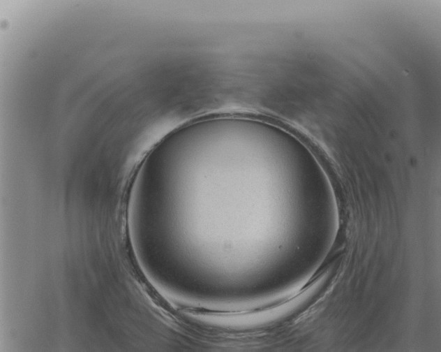 X0000063491367200601271709