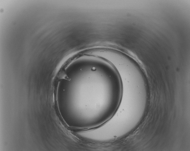 X0000063491368200601271709