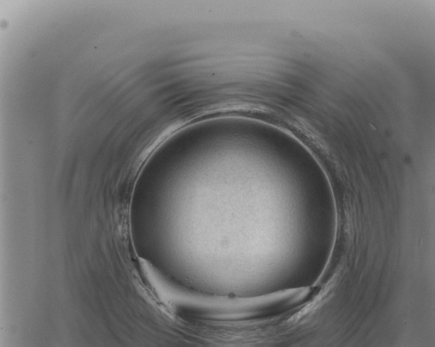 X0000063491369200601271709