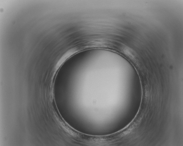 X0000063491370200601271709