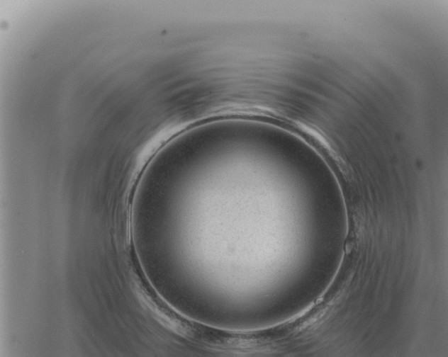 X0000063491371200601271709