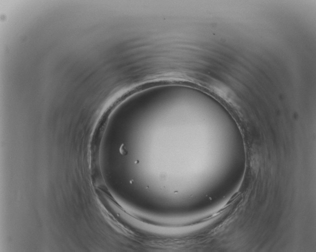 X0000063491372200601271709