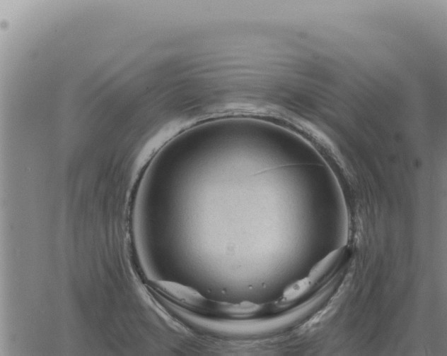 X0000063491373200601271709