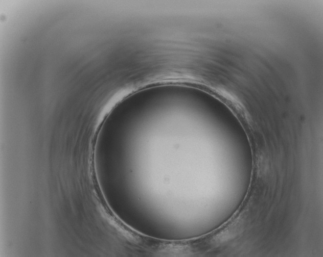 X0000063491374200601271709