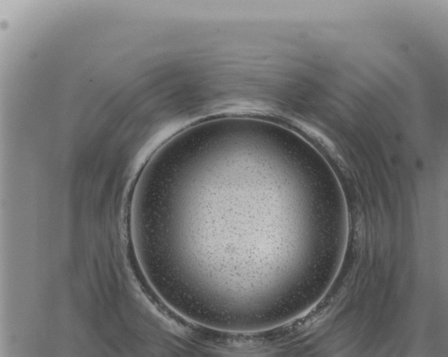 X0000063491375200601271709