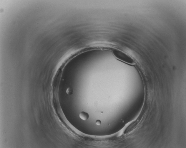 X0000063491376200601271709