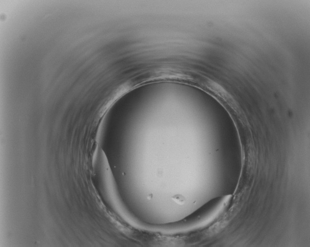 X0000063491377200601271709