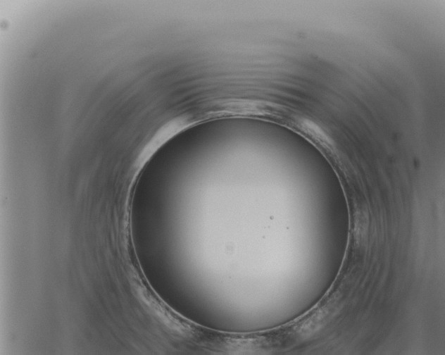 X0000063491378200601271709