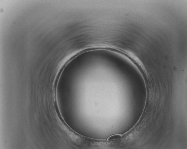 X0000063491380200601271709