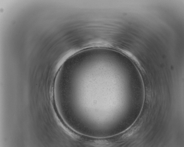 X0000063491383200601271709