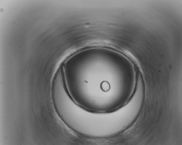 X0000063491384200601271709