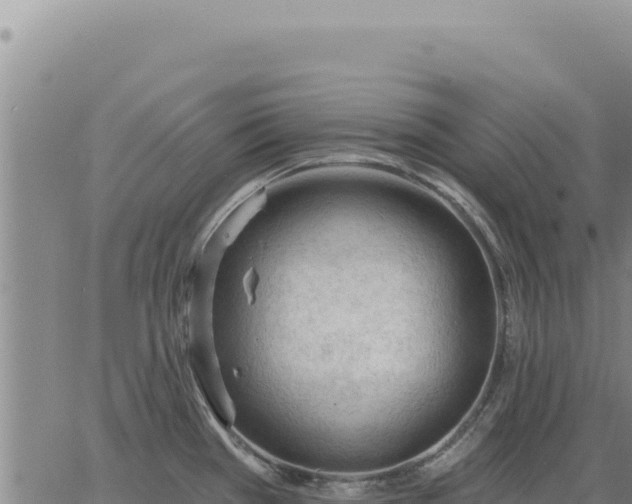 X0000063491385200601271709