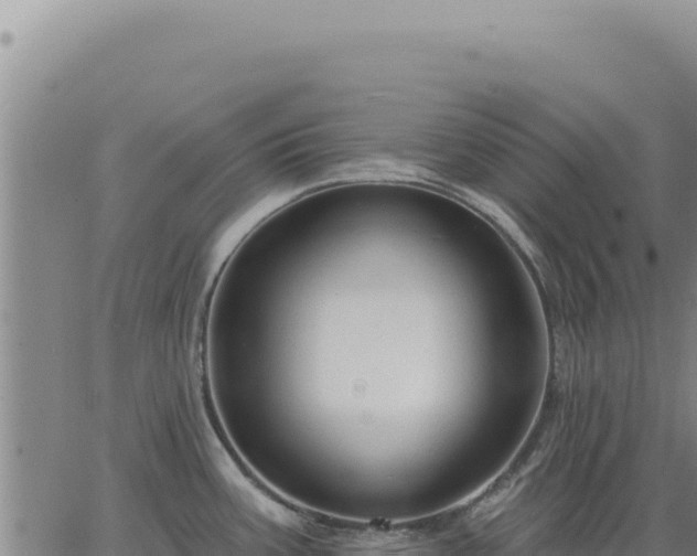 X0000063491387200601271709