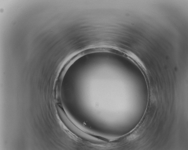 X0000063491388200601271709