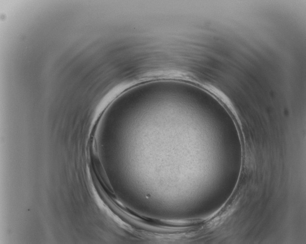 X0000063491389200601271709