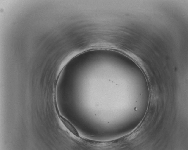 X0000063491390200601271709