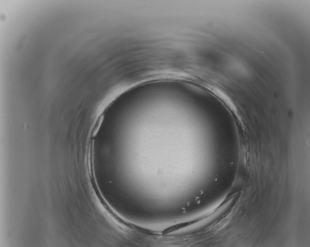 X0000063491391200601271709