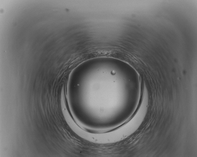 X0000063491394200601271708