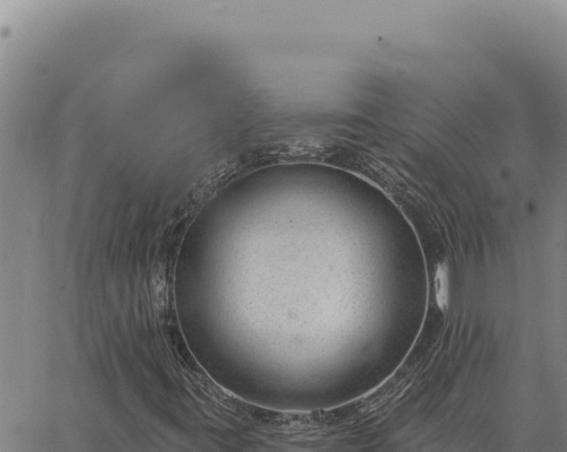 X0000063491395200601271708