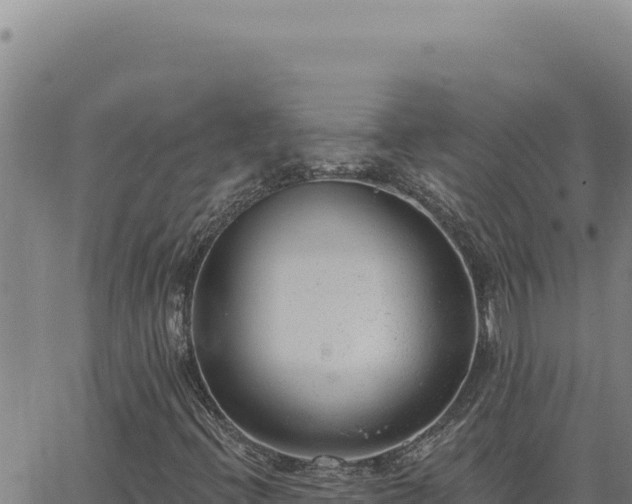 X0000063491396200601271708