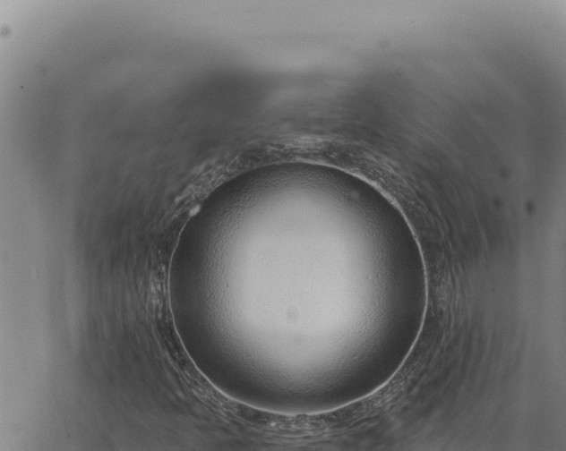 X0000063491397200601271708