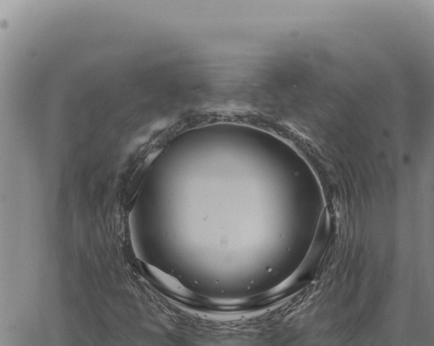 X0000063491398200601271708